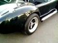 SHELBY COBRA - To garage - Brazilian Cobra