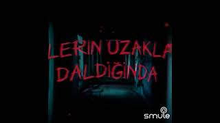 Hicmi Özlemedin Şiir