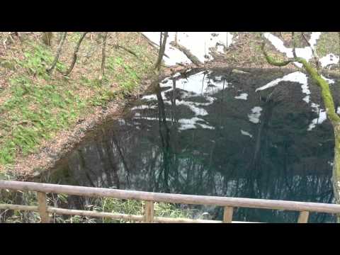 早春の青池（十二湖） - 水面（カメラ移動） - 0210A