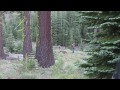 Dead Bigfoot - A True Story (Full Movie in HD feat. Justin Smeja)