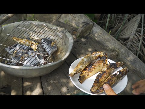 Về Sông Ăn Cá #03 ● Cá Dầy Nướng | Nét Quê #152