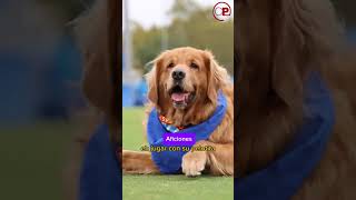 VeA3qZiZifs Video Image