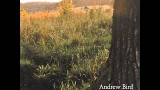 Watch Andrew Bird Masterswarm video