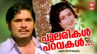 പലരകൾ പറവകൾ... Enne Njan Thedunnu Malayalam Movie Song Madhu Shubha Malayalam Evergreen Song