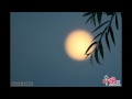 Chinese Music 彩云追月Colourful Clouds chasing the Moon-Performed by Central Orchestra of China中国中央交响乐团