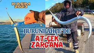 BURUNBAHÇE'DE YEMLİ AT-ÇEK ZARGANA AVI #fishing #balıkavı #zargana