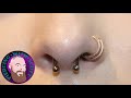 The Whole Truth - Septum Piercing