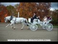 Horse Drawn Carriage - Wedding Carriage - Victorian Carriage 34 - Carriage Limousine Service