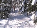 Видео Сахалин лыжи по фрирайду!!