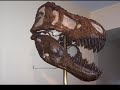A Tribute to Tyrannosaurus Rex
