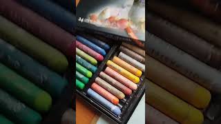 Набросок  #Shortvideo #Art #Oilpastel #Painting  #Pastel #Животные #Тюльпаны #Рисунок #Львы #Shorts