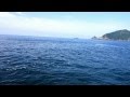 神前浦(チガライの大)