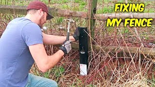 Fixing Leaning Fence Easiest Way