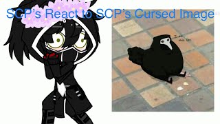 SCP’s React To SCP’s Cursed Image / Thank you for 300 subs / Part 1