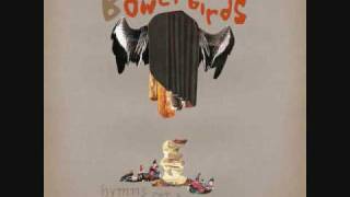 Watch Bowerbirds Hooves video