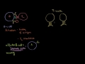 Review of B cells, CD4 T cells and CD8 T cells360p