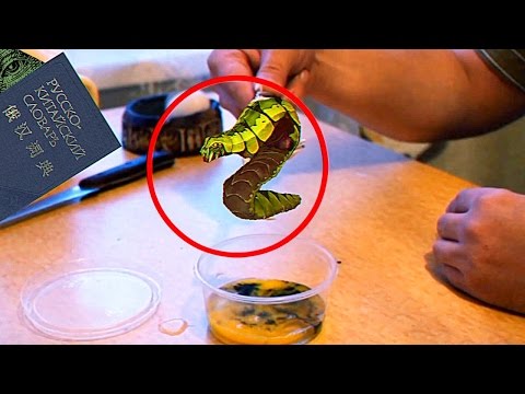 Как сделать гомункулуса Как сделать гомункулуса