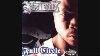 Watch Xzibit The Whole World video