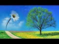 Voces de Primavera - Johann Strauss Voces de Primavera - Johann Strauss