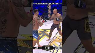 Erko Jun Kicked His Way To Victory
