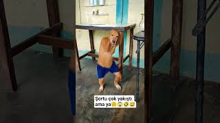 Dans Eden Köpek