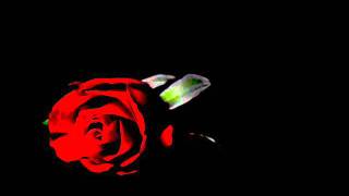 Watch Radford Out Of The Dark video