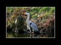 Rondom landgoed Nijenburg Heiloo