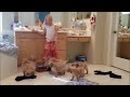 The 9 Puppy Chase & Tackle || Family Fun Pack Puppies