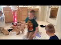 The 9 Puppy Chase & Tackle || Family Fun Pack Puppies