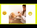 Funny Animals video | Viral Videos | Funny Videos | Emboss Funtime
