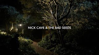 Watch Nick Cave  The Bad Seeds Give Us A Kiss video