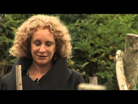 Philippa Gregory on Jacquetta's friendship with Margaret of Anjou