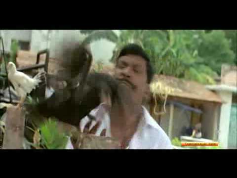 Aayiram Jannal Veedu ( Ayngaran )