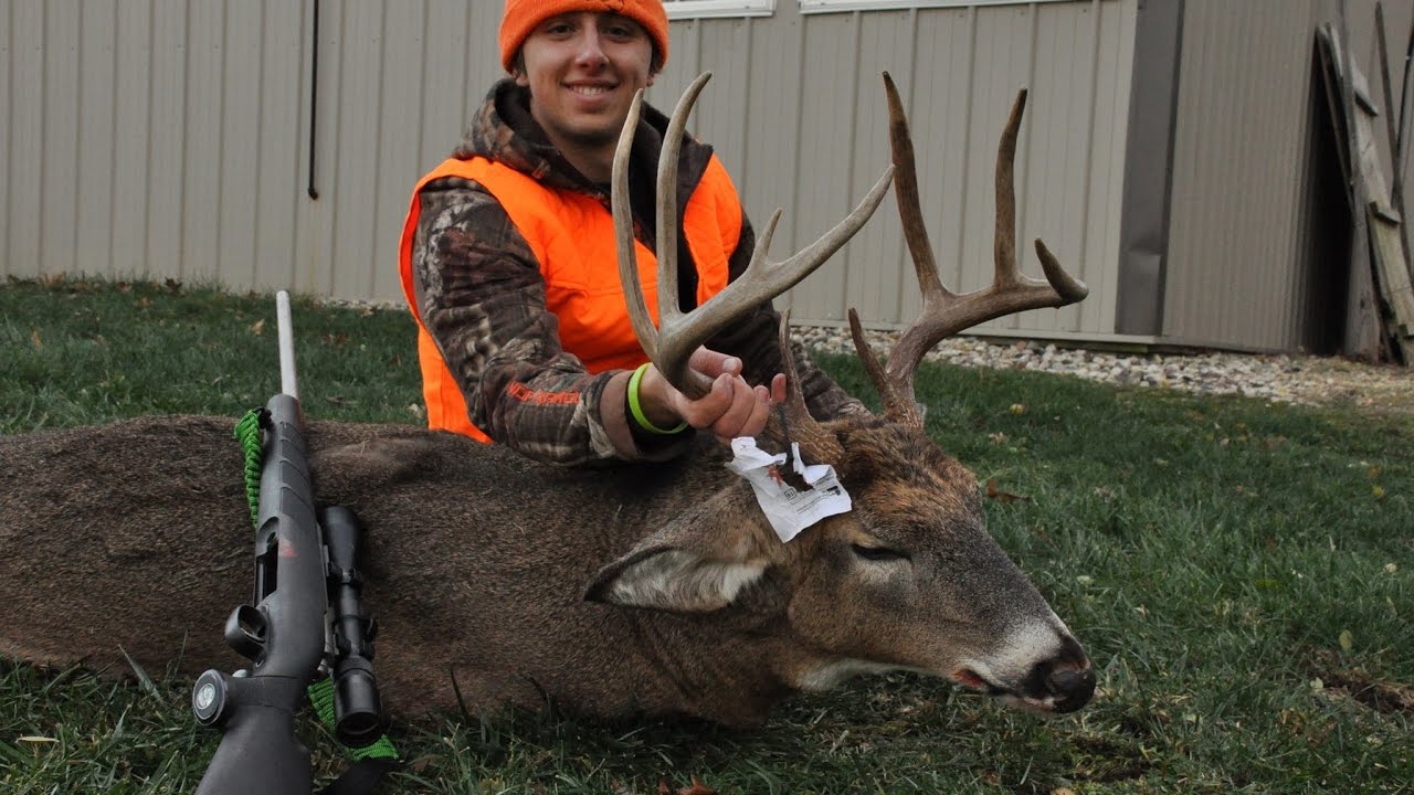 Best Caliber For Elk Hunting Kims Foundations and Research Centre