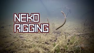 Neko Rigging Beyond The Basics