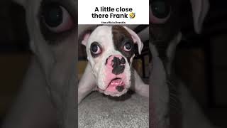 Frank Likes To Get A Little Close