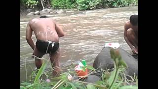 Mandi Mandi