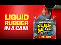 Flex Seal LIQUID® Commercial (2015)-- Phil Swift