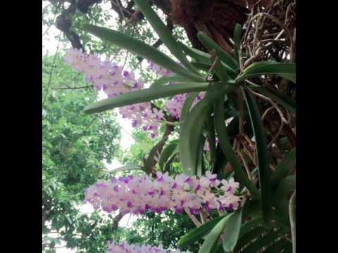 ที่พักติดน้ำเขาใหญ่คีรีธารทิพย์