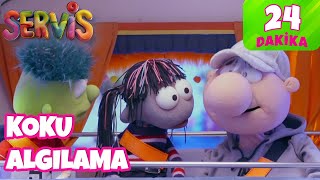 Servis Koku Algılama