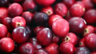 Health Benefits of Cranberries