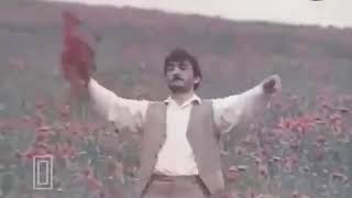 Qem Penceresi Kinosundan Musiqi