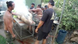 Hokulea Crew Imu In Waianae Part 3 Of 3 Hokulea Crew Imu In Waianae Part 3 Of 3