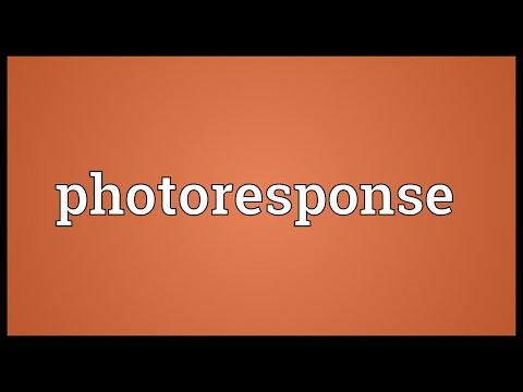 Header of Photoresponse
