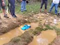 Piques fangueros