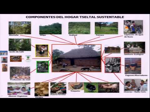 agroecology and miguel altieri essay agroecology and miguel altieri essay