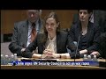 Jolie urges UN Security Council to act on war rapes