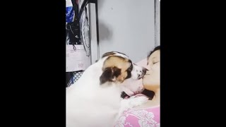 My Dog Kiss Me