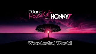 Djane Housekat Meets Honnyt - Wonderful World (Shuffle Remix)