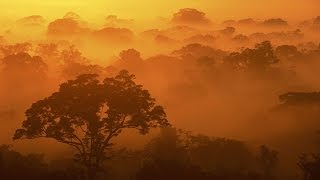 Brainwave Sunrise Meditation Orange Yellow Beta 13 Hz In C Brainwave Sunrise Meditation Orange Yellow Beta 13 Hz In C
